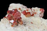 Large, Lustrous, Ruby Red Vanadinite Formation - Morocco #80540-3